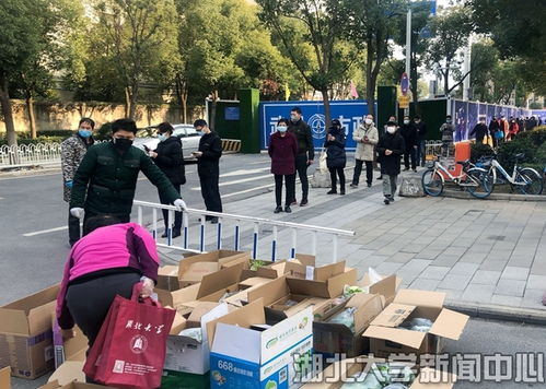 百申物流如何提升物流效率