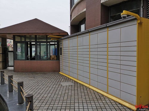 顺丰快递寄快递上门取件