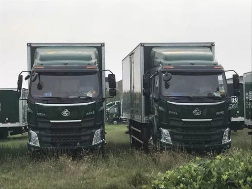 虬龙科技在电机与控制技术领域取得突破性进展 虬龙科技在电机与控制技术领域取得突破性进展