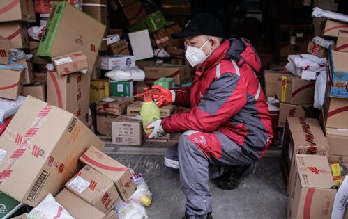 物流信息平台有哪些类型