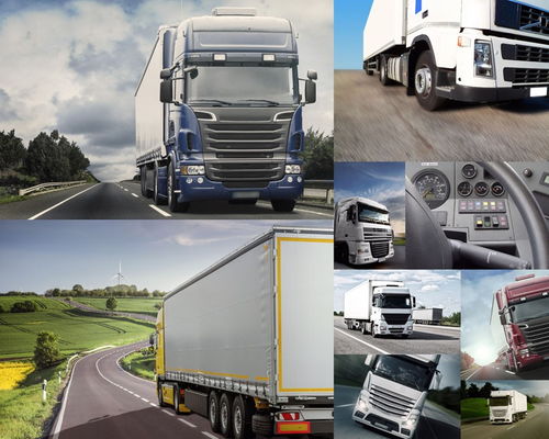 全国进口粮食示范港落户大连保税区