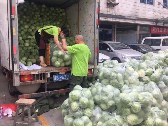 大连开发区龙邦快递 大连开发区龙邦快递