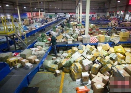 如何选择靠谱的杀虫灭鼠公司