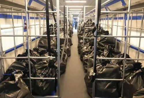 IT物流管理中如何协调分销