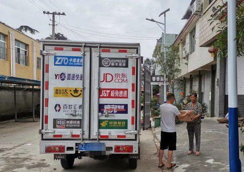 特斯拉二手车公司被限消