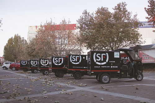 杭州四季青物流打架