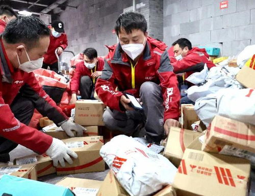 如何联系顺丰快递客服咨询有关订单信息