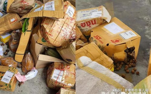 王占山简介 王占山什么职务 王占山简介 王占山什么职务