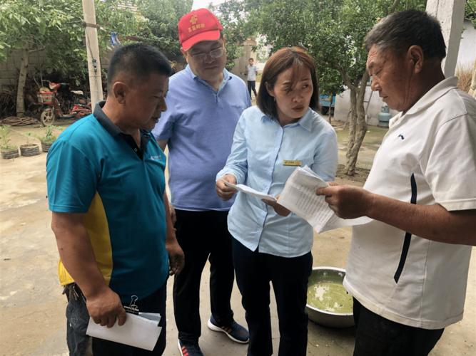 生物流网手机版的实用功能与体验如何