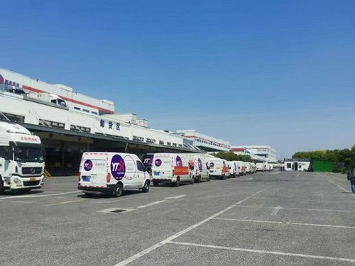 中小型跨境电商的物流服务主体 中小型跨境电商的物流服务主体