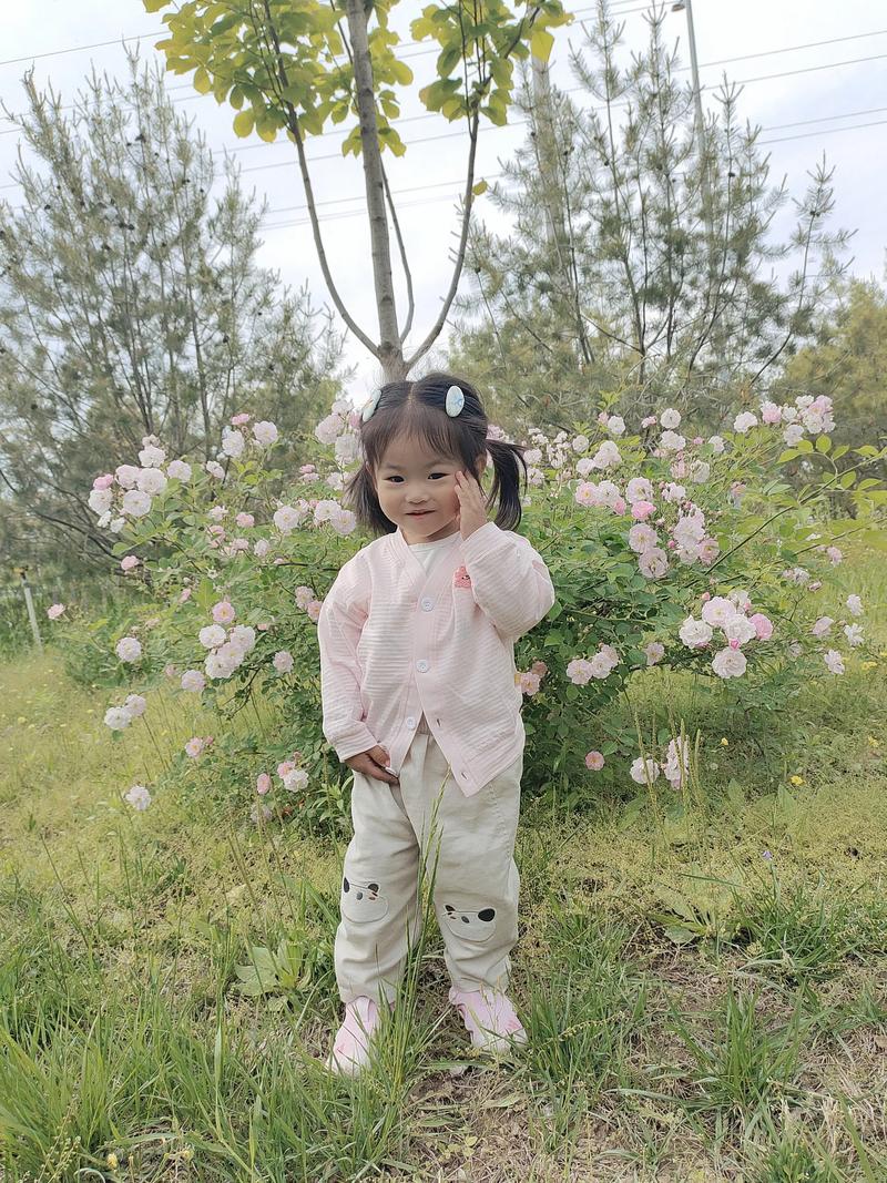 宿松物流公司电话号码