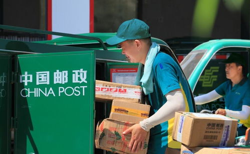 电商下乡观察 物流成本不低口碑难建