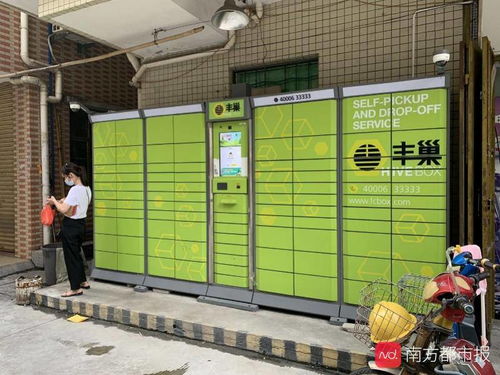 青松奇迹 青松在哪