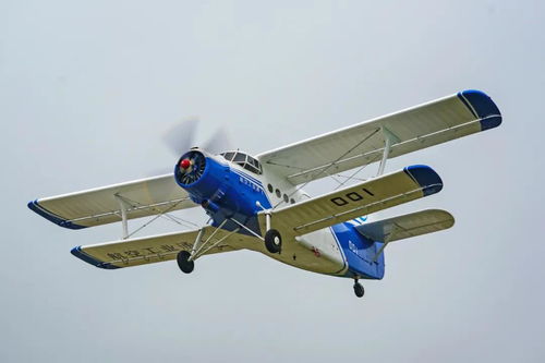 关晓彤的真正老公是谁 关晓彤的真正老公是谁