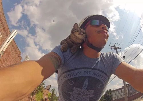 百世快运价格表查询