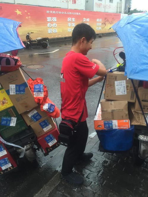 禁电令朝令夕改说明啥