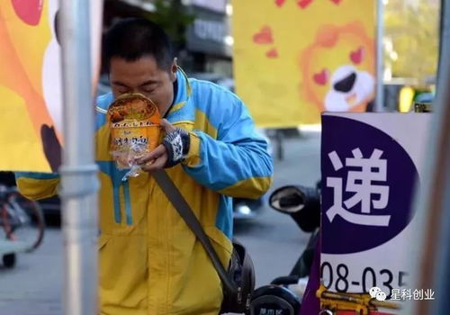 智能快递 速尔自动化分拣设备正式投入试