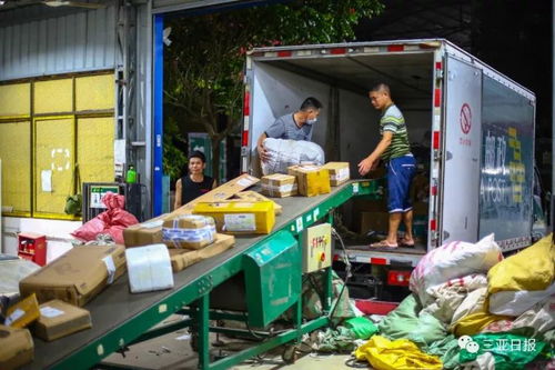 京东快递物流如何保障寄件安全与效率