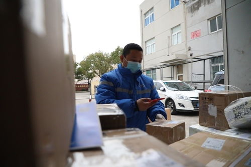 假单号能在官网查询出来吗