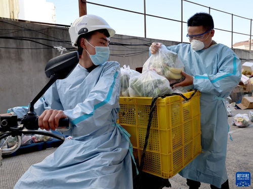 摆摊车多少钱一辆