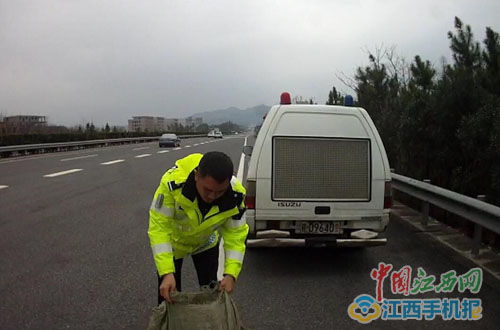 物流信息管理体系需求剖析