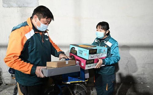 樊怎么读？樊怎么读拼音