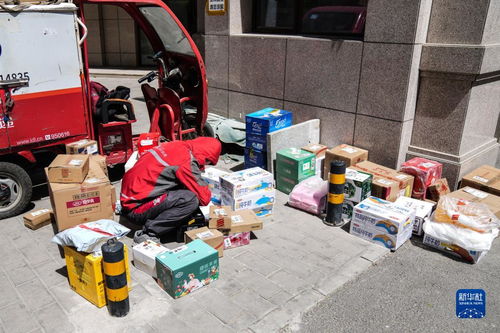 物流公司的税务应该如何管理