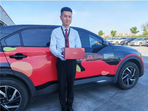 京东物流查询单号怎么查不到