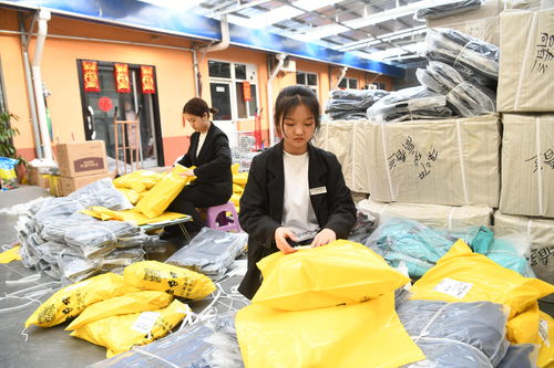 教你如何把握冷链物流发展的机遇