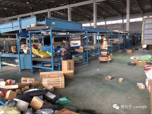 河南多景区飘起鹅毛大雪