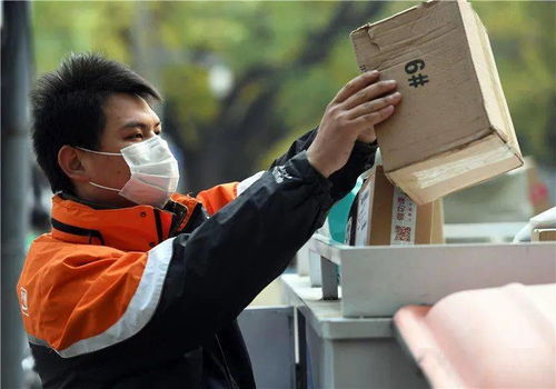 神雕演员表 神雕演员表黄晓明版