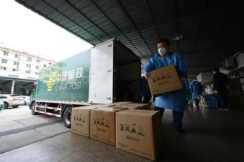 湖北荆州物流业的发展现状和趋势如何