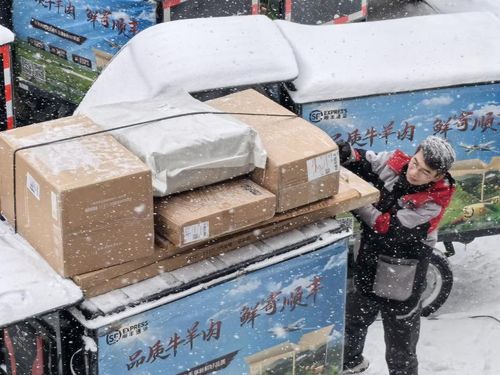 重庆有哪些货运平台