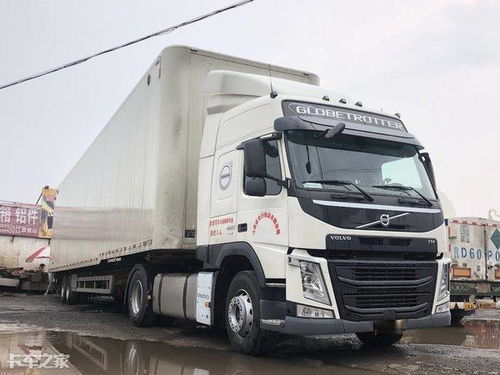 鹿龟补肾片(鹿龟补肾片效果好吗)