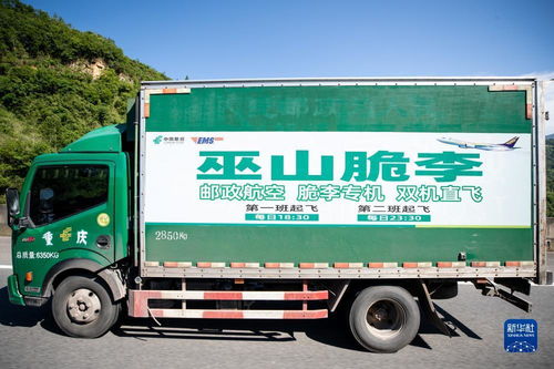 京东快递手机号查询快递物流信息