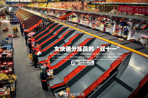 有人干这事年赚200万