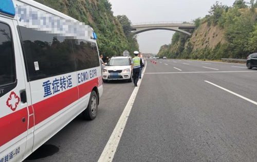 北京分通物流的运行效率与服务质量如何