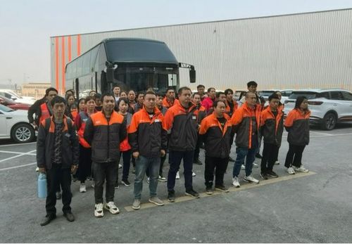 怎么看单号查快递物流