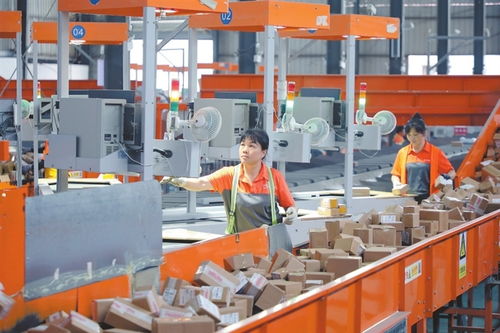 民间救援 不添乱还是不缺位