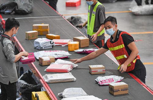 汇源老总_汇源老总出演乡村爱情