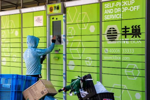 中国银保信电子保单查询