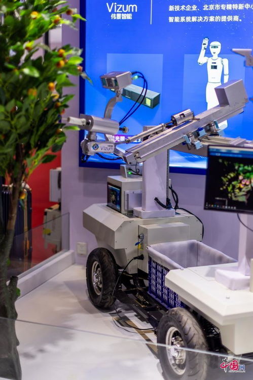 快乐小神仙_快乐小神仙快乐小少年我要飞我