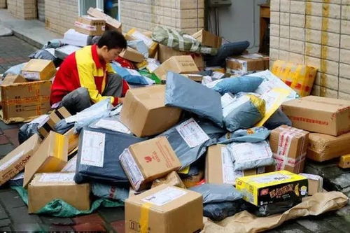 铁岭县快递服务体验如何