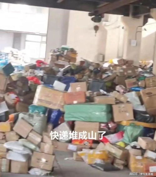 天天快递服务质量如何 用户体验怎么样