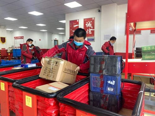 如何查询物流公司的运单情况