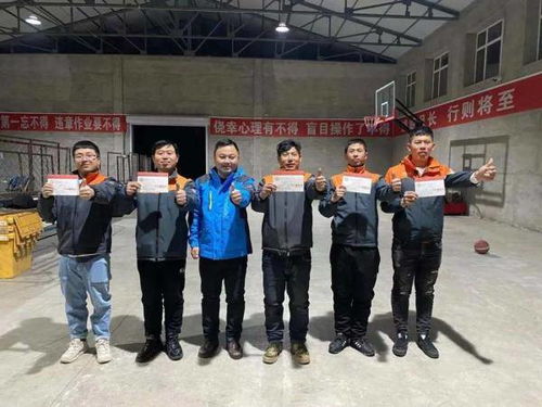 物流企业加快海外布局 印度巴西等新兴市场成为 物流企业加快海外布局 印度巴西等新兴市场成为