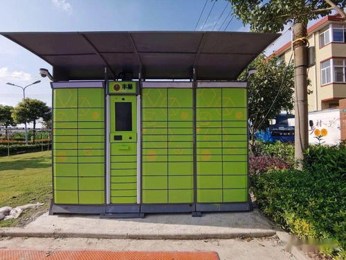 如何选择值得信任的物流公司