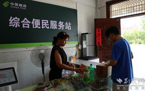 蔬菜配送公司名字起名大全