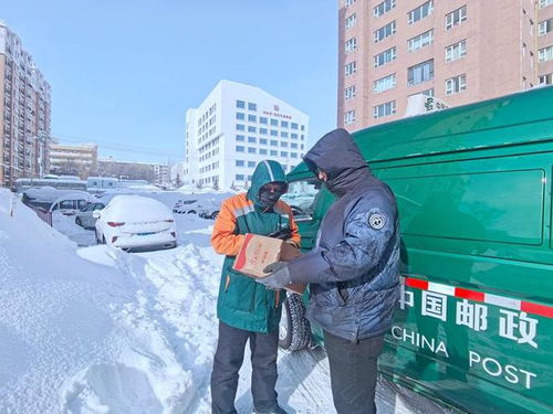 京东物流青流箱引围观 可循环快递箱成关注