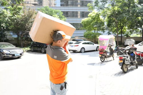 忘了快递单号怎么办 忘了快递单号怎么办